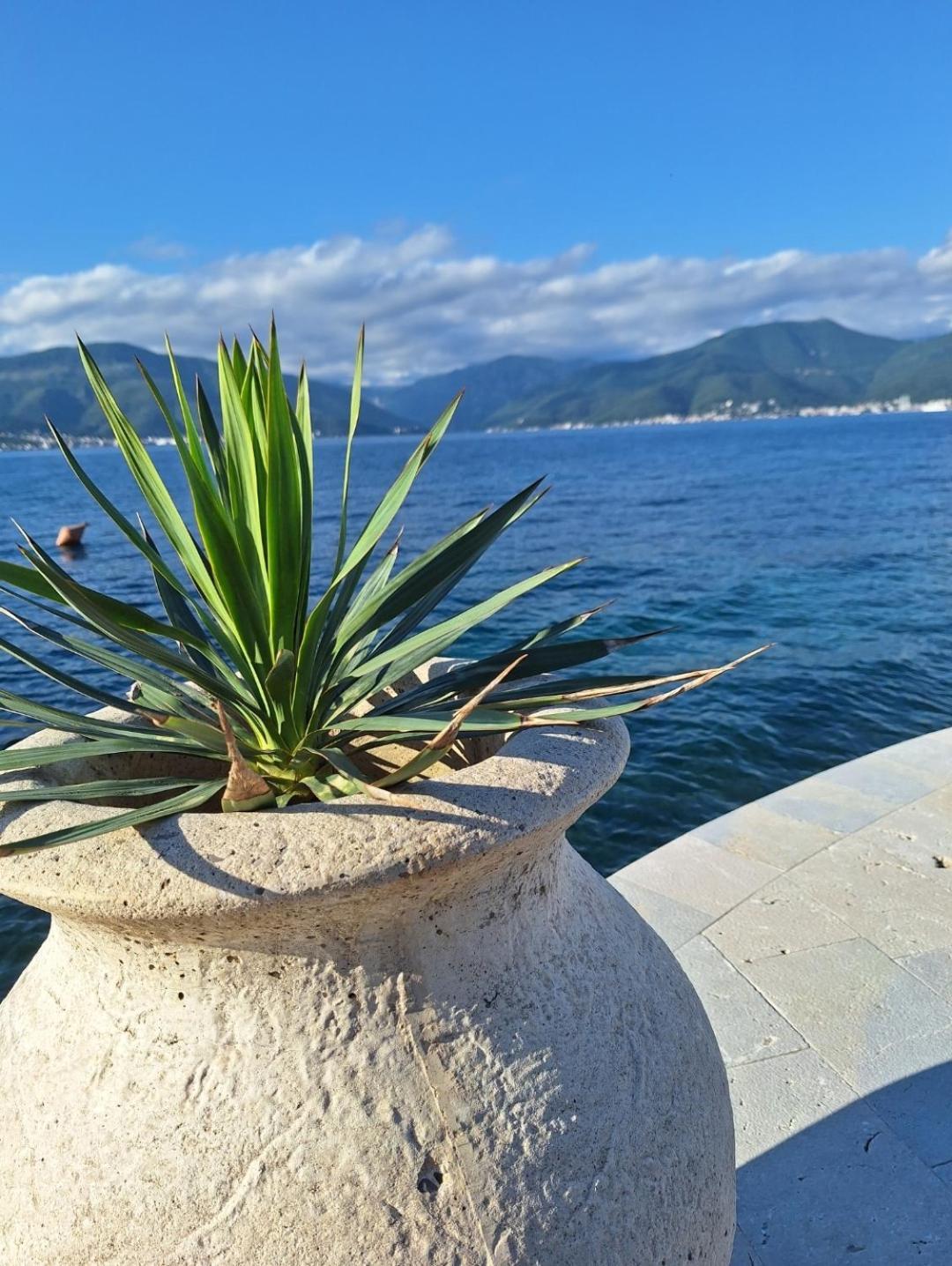 Apartments Ponta Krasici Tivat Exterior photo